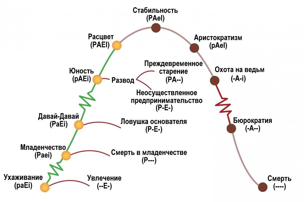 Как правильно трактовать зубчики на схеме адизеса перед этапами младенчество бюрократизация и юность